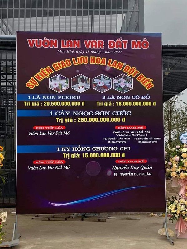 Giao dịch lan var đắt nhất Việt Nam